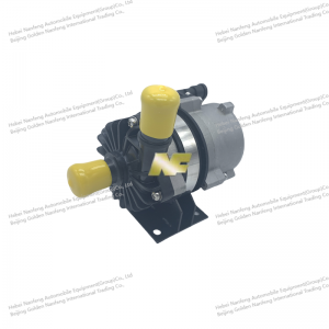 electric vehicle water pump