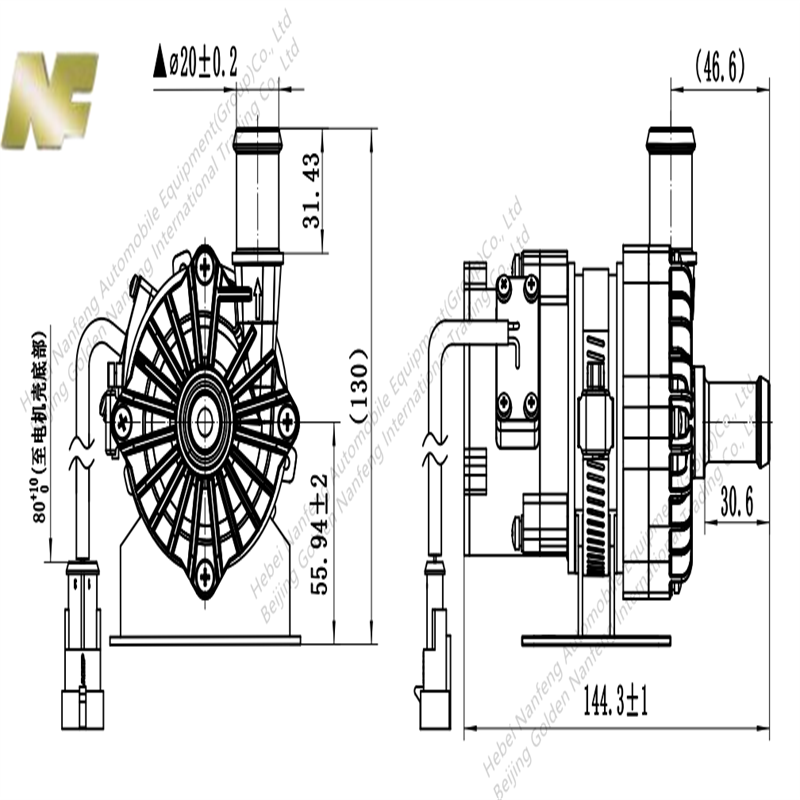 electric vehicle water pump